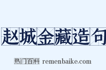 赵城金藏造句是什么意思的图片